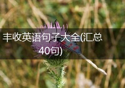 丰收英语句子大全(汇总40句)