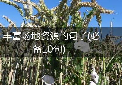 丰富场地资源的句子(必备10句)