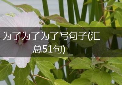 为了为了为了写句子(汇总51句)