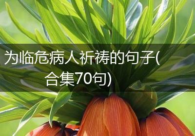 为临危病人祈祷的句子(合集70句)