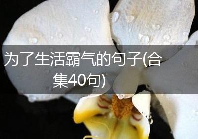 为了生活霸气的句子(合集40句)