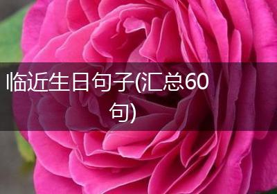 临近生日句子(汇总60句)