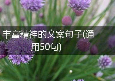 丰富精神的文案句子(通用50句)