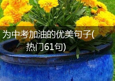 为中考加油的优美句子(热门61句)