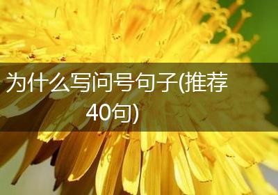 为什么写问号句子(推荐40句)
