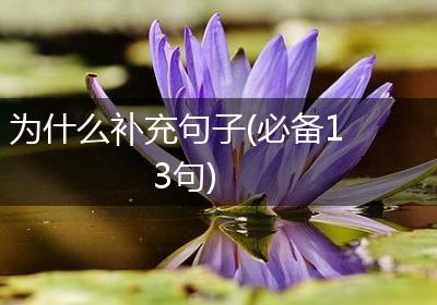 为什么补充句子(必备13句)