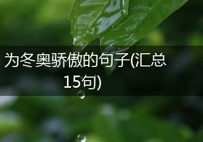为冬奥骄傲的句子(汇总15句)