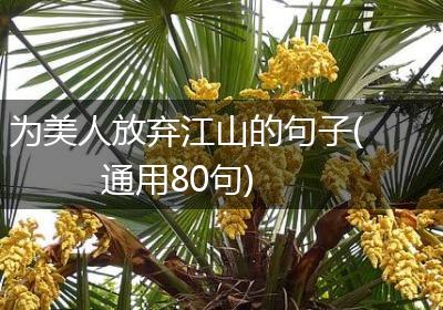 为美人放弃江山的句子(通用80句)