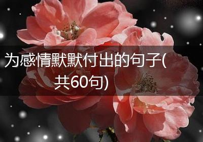 为感情默默付出的句子(共60句)