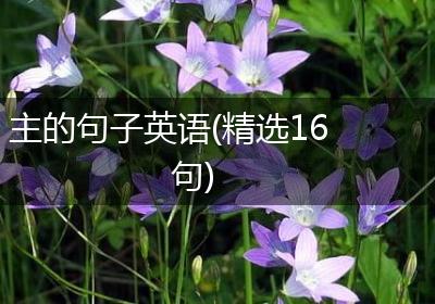 主的句子英语(精选16句)