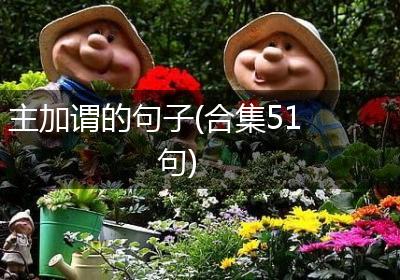 主加谓的句子(合集51句)