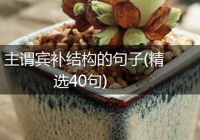 主谓宾补结构的句子(精选40句)