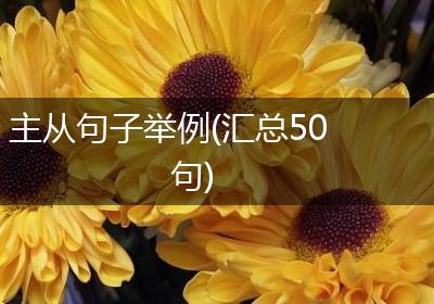 主从句子举例(汇总50句)