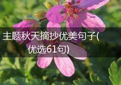 主题秋天摘抄优美句子(优选61句)