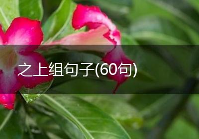之上组句子(60句)
