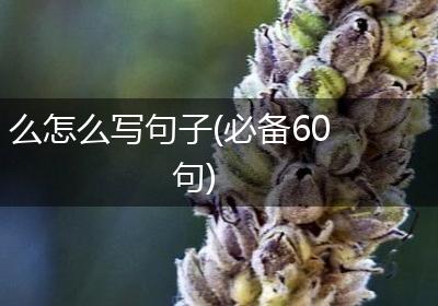 么怎么写句子(必备60句)