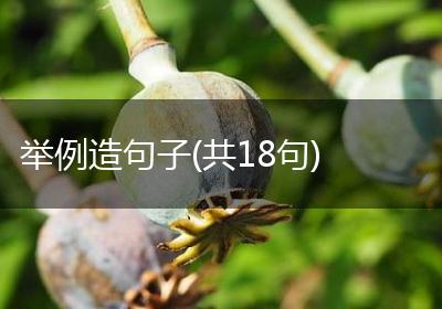 举例造句子(共18句)