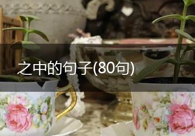 之中的句子(80句)