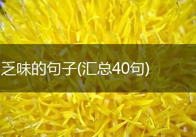 乏味的句子(汇总40句)