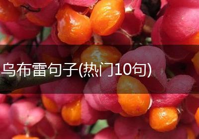 乌布雷句子(热门10句)