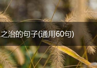 之治的句子(通用60句)