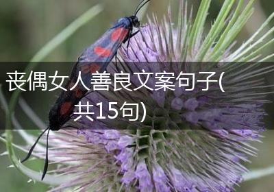 丧偶女人善良文案句子(共15句)