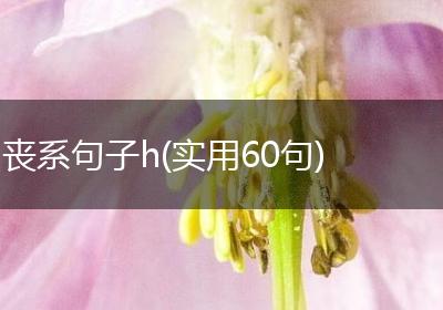 丧系句子h(实用60句)