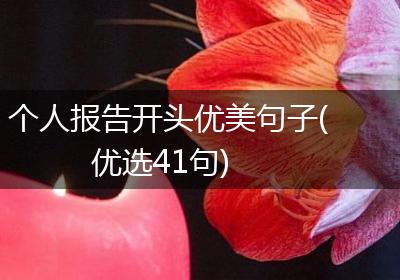 个人报告开头优美句子(优选41句)