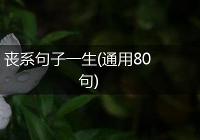丧系句子一生(通用80句)
