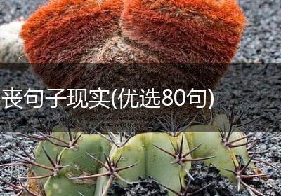 丧句子现实(优选80句)