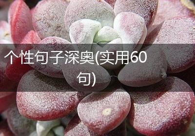 个性句子深奥(实用60句)
