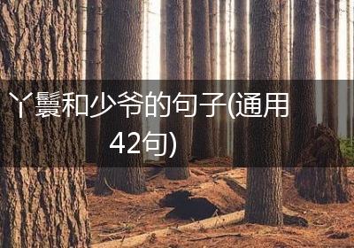丫鬟和少爷的句子(通用42句)