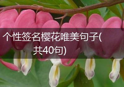 个性签名樱花唯美句子(共40句)