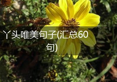 丫头唯美句子(汇总60句)