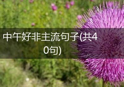 中午好非主流句子(共40句)