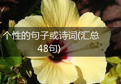 个性的句子或诗词(汇总48句)