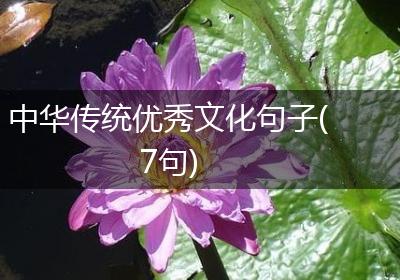 中华传统优秀文化句子(7句)