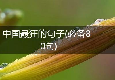 中国最狂的句子(必备80句)