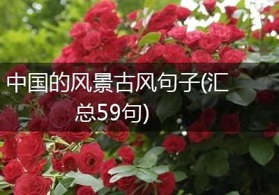 中国的风景古风句子(汇总59句)