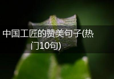 中国工匠的赞美句子(热门10句)