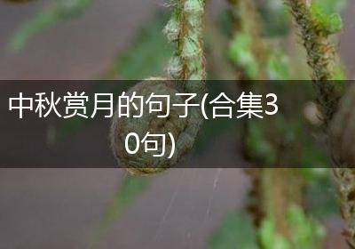 中秋赏月的句子(合集30句)