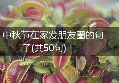 中秋节在家发朋友圈的句子(共50句)