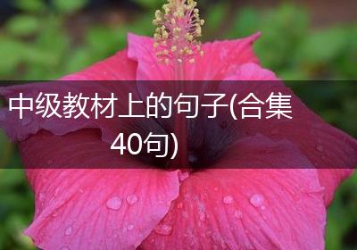 中级教材上的句子(合集40句)