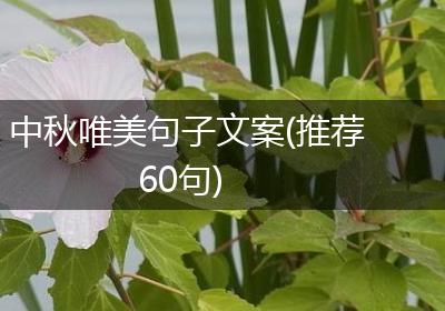 中秋唯美句子文案(推荐60句)