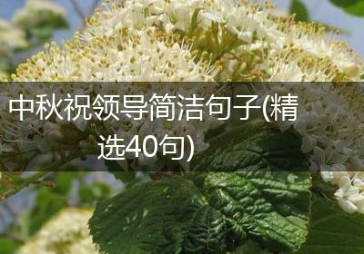 中秋祝领导简洁句子(精选40句)