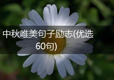 中秋唯美句子励志(优选60句)