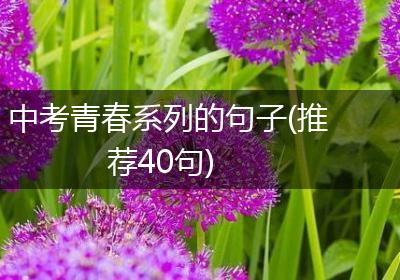 中考青春系列的句子(推荐40句)