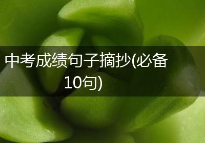 中考成绩句子摘抄(必备10句)