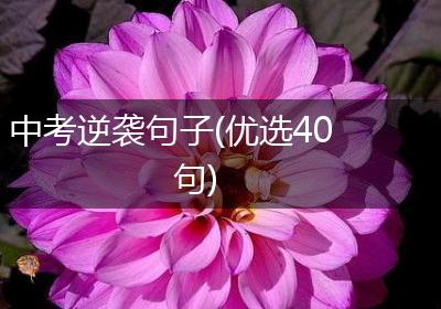 中考逆袭句子(优选40句)