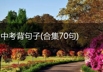 中考背句子(合集70句)